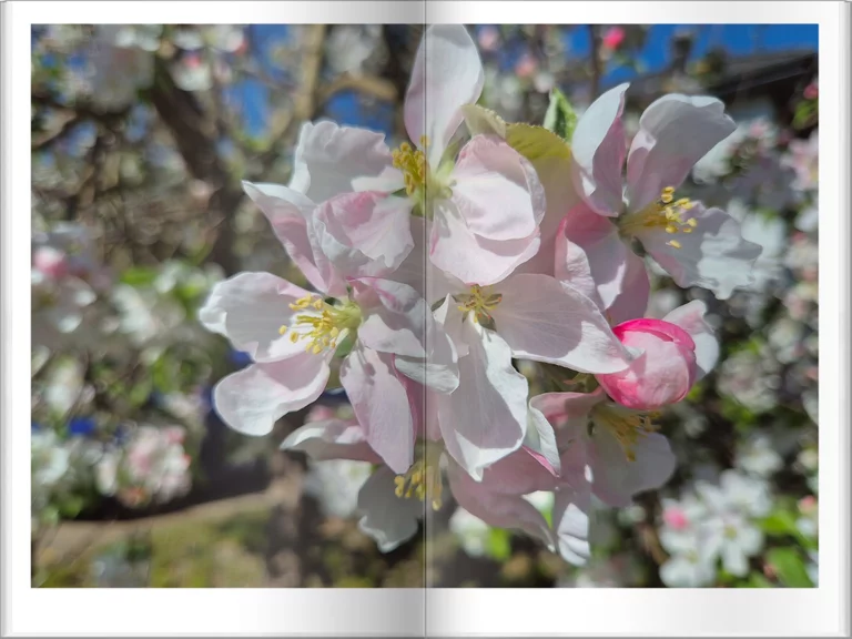 Makro Flipbook