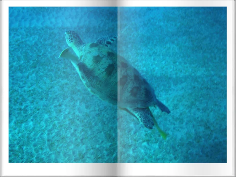  Unterwasser Flipbook