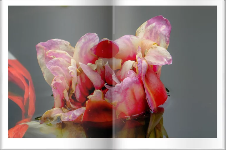 Thebeautyofdecay Flipbook